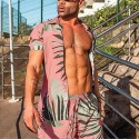 Men's Tracksuit Sweatsuit 2 Piece Drawstring Turndown Floral / Botanical Stripes Sport Athleisure Outfit Set Clothing Suit Short Sleeve Breathable Quick Dry Moisture Wicking Soft Fitness Gym Workout