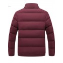 Men's Parka Outdoor Street Daily Fall Winter Regular Coat Stand Collar Regular Fit Warm Breathable Sporty Casual Jacket Long Sleeve Plain Pocket Full Zip Black Blue Wine / Going out